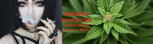молекула духа Горнозаводск