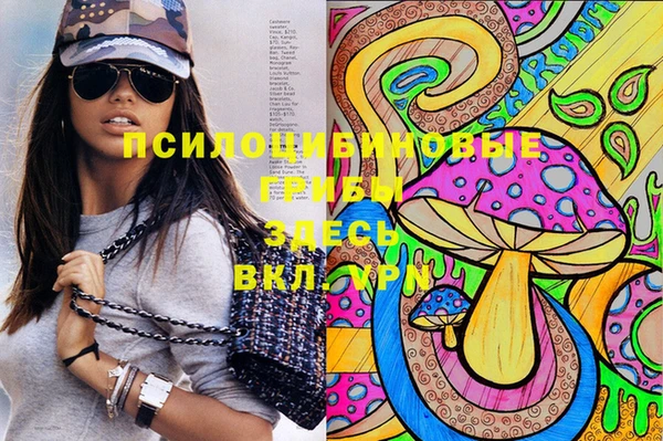 дживик Горно-Алтайск