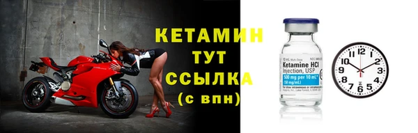 гидропоника Гусиноозёрск