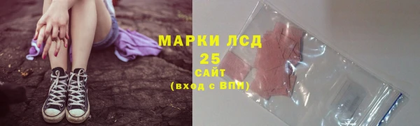 винт Горняк