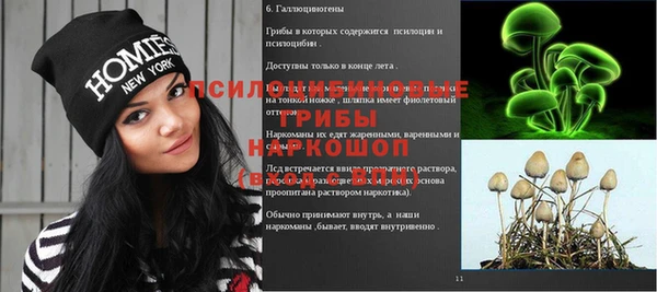 МДПВ Гусев