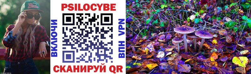Псилоцибиновые грибы Cubensis  купить  сайты  Емва 